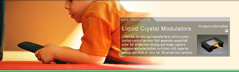 Liquid Crystal Modulators